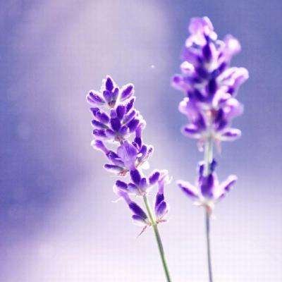 万博ManBetX登录网页版