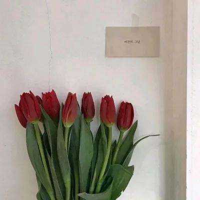 星空体育全站App截图